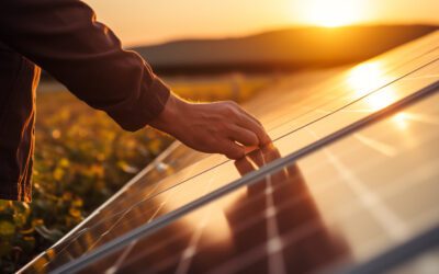 Les NRJ renouvelables rapportent à l’Etat