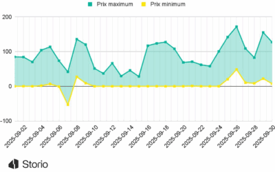 Forte volatilité du marché de l’électricité