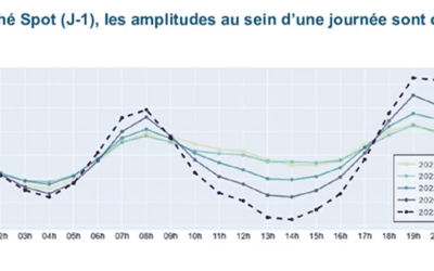 Arrivée des premiers tarifs dynamiques en France